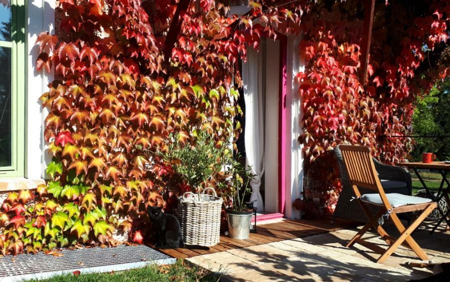 Apartmany Ruprechtov Hroznetin Εξωτερικό φωτογραφία